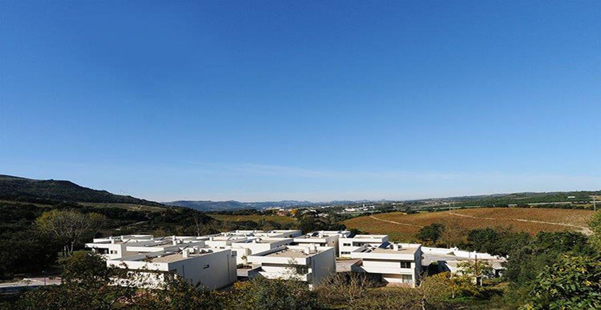 A modern development set in a valley of vineyards...